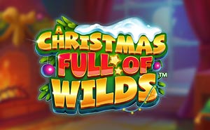 A Christmas Full of Wilds