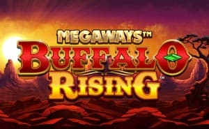 buffalo rising megaways slot game