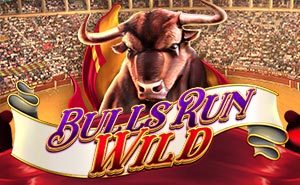 Bulls Run Wild