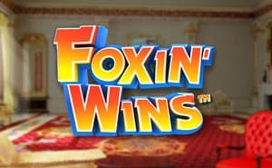 Foxin Wins