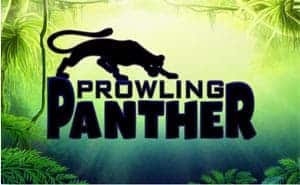 Prowling Panther