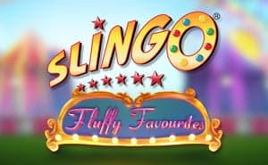 fluffy favorites slingo game